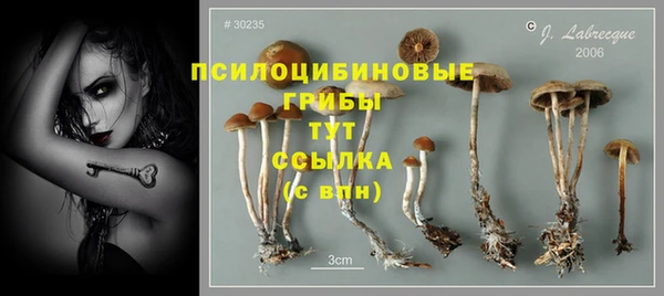 MDMA Зеленокумск