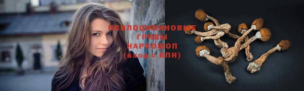 прущая мука Галич